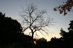 photo 0234